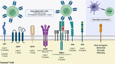 Autologous, allogeneic hematopoietic cell transplantation and CAR-T/NK therapy: what is their real importance in PTCL?